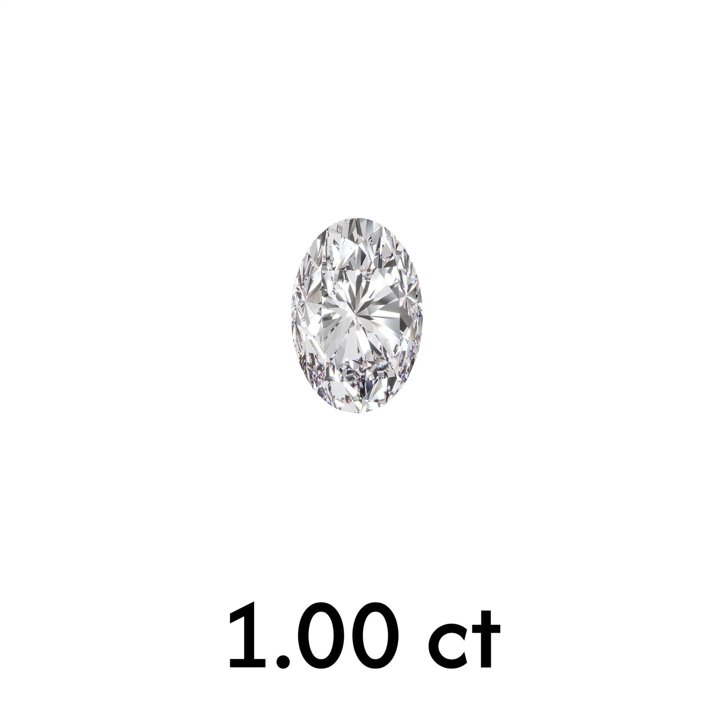 MD-D10024