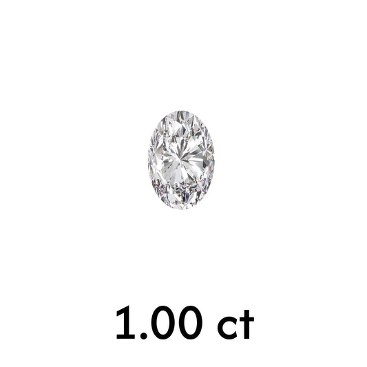 MD-D10024