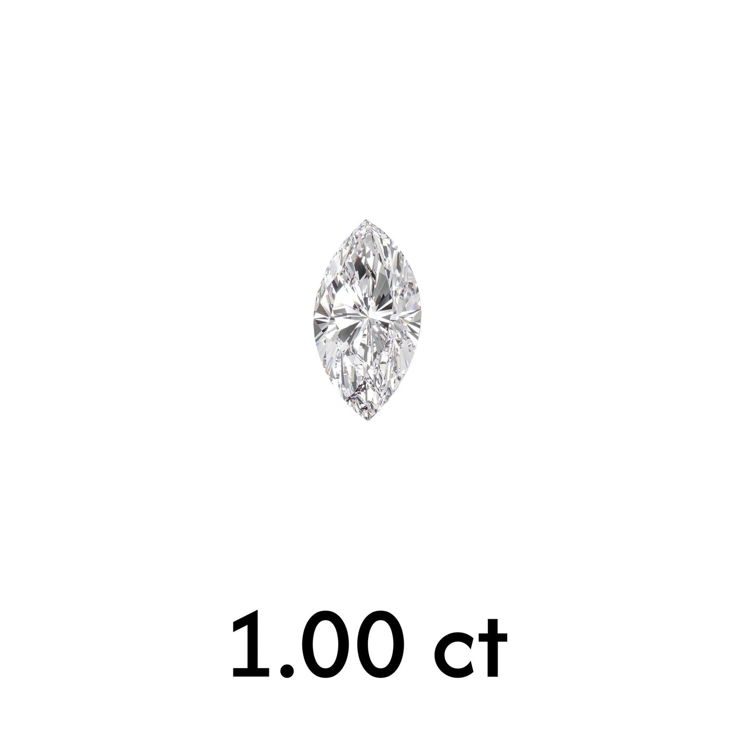 MD-D10079