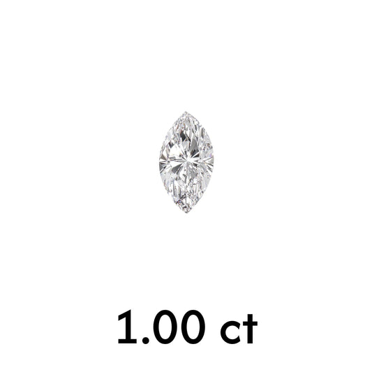 MD-D10079