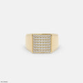 Brilliance Panel Mens Diamond Ring