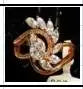 MD-R20839